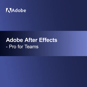 Adobe After Effects - Pro per Team
